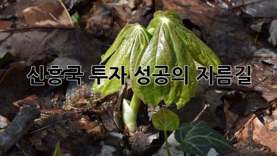 신흥국 투자, 성공의 지름길